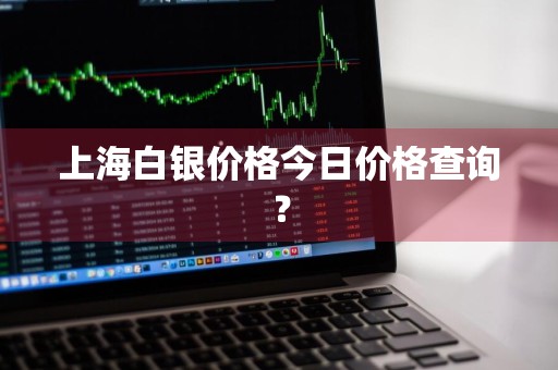 上海白银价格今日价格查询？