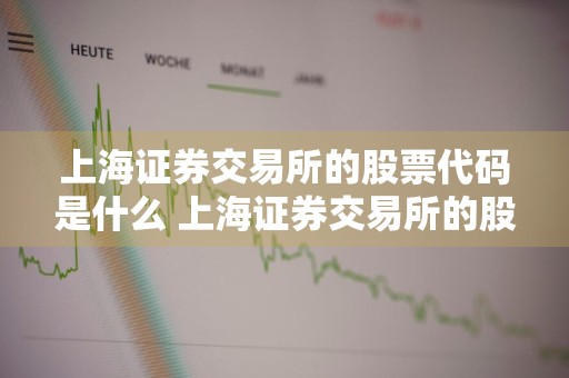 上海证券交易所的股票代码是什么 上海证券交易所的股票代码是什么意思