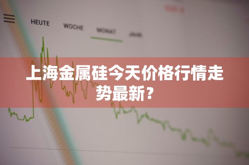 上海金属硅今天价格行情走势最新？