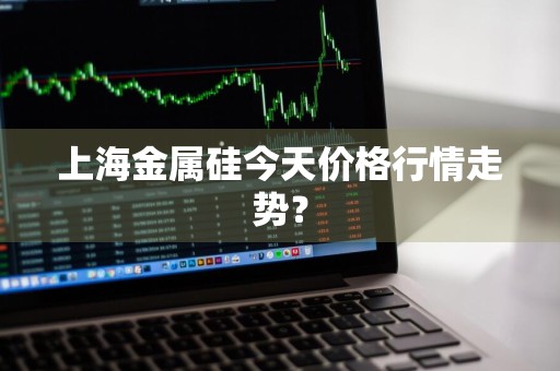 上海金属硅今天价格行情走势？