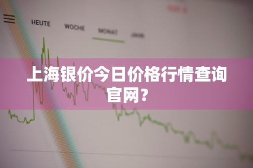 上海银价今日价格行情查询官网？