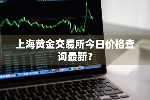 上海黄金交易所今日价格查询最新？