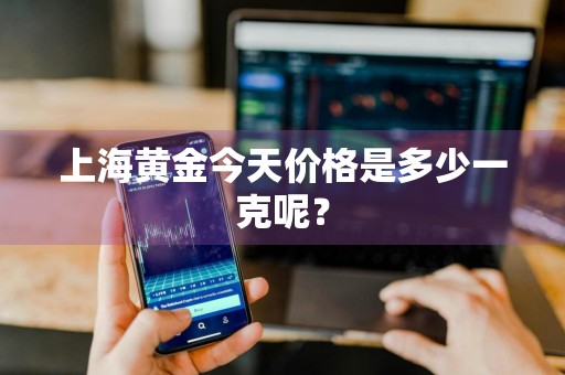 上海黄金今天价格是多少一克呢？