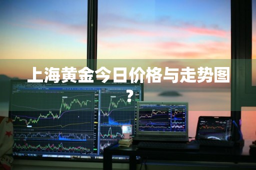 上海黄金今日价格与走势图？