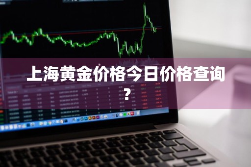 上海黄金价格今日价格查询?