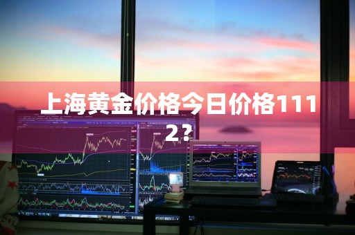 上海黄金价格今日价格1112？
