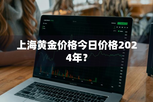 上海黄金价格今日价格2024年？