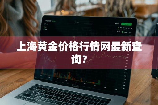 上海黄金价格行情网最新查询？