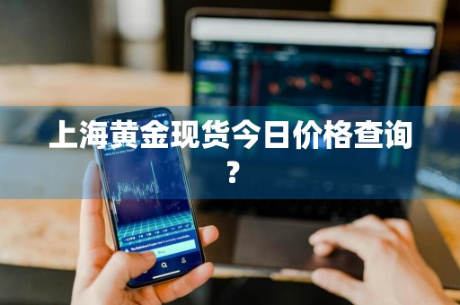 上海黄金现货今日价格查询？