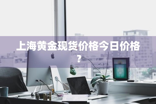 上海黄金现货价格今日价格？