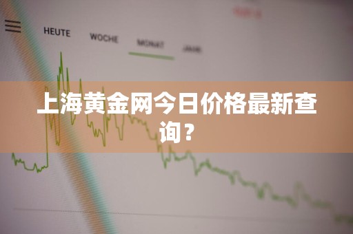 上海黄金网今日价格最新查询？