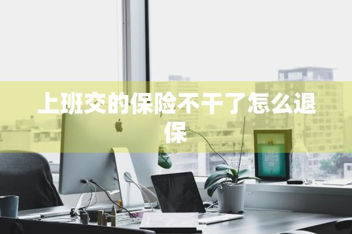 上班交的保险不干了怎么退保