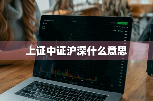 上证中证沪深什么意思