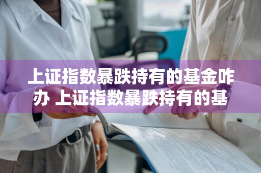 上证指数暴跌持有的基金咋办 上证指数暴跌持有的基金咋办呢