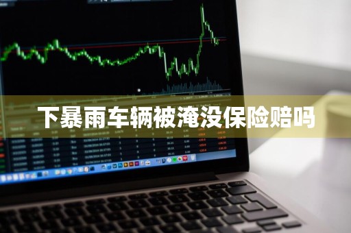 下暴雨车辆被淹没保险赔吗