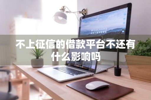 不上征信的借款平台不还有什么影响吗