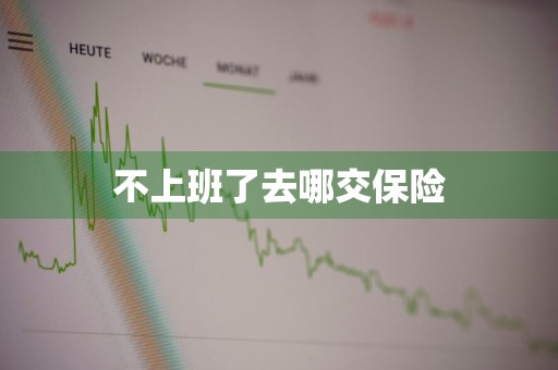 不上班了去哪交保险