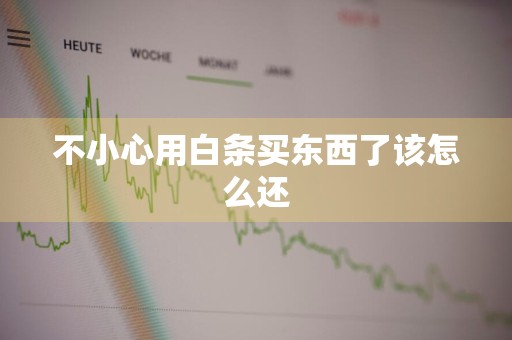 不小心用白条买东西了该怎么还