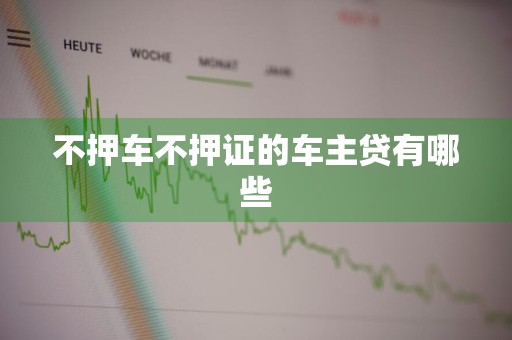 不押车不押证的车主贷有哪些