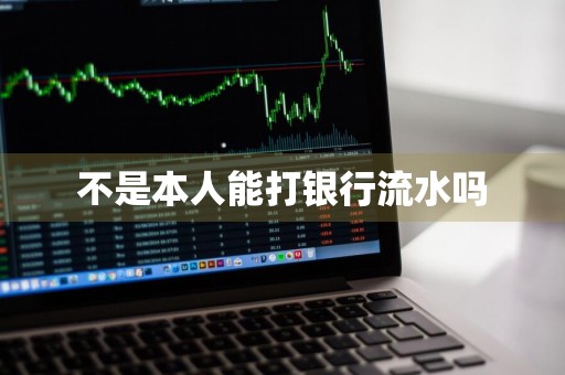 不是本人能打银行流水吗
