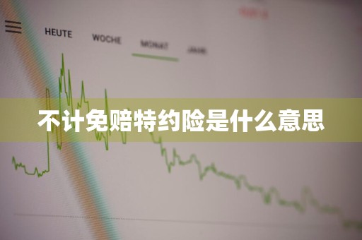 不计免赔特约险是什么意思