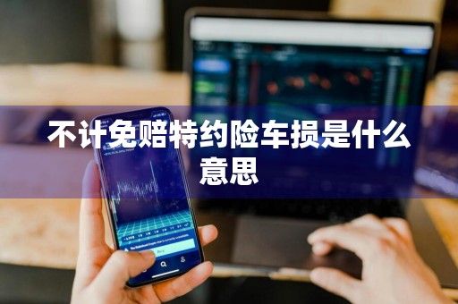 不计免赔特约险车损是什么意思