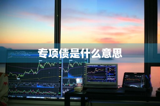 专项债是什么意思