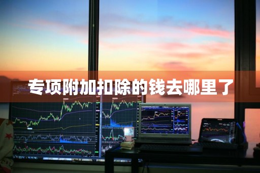 专项附加扣除的钱去哪里了