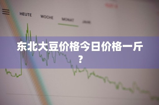 东北大豆价格今日价格一斤？