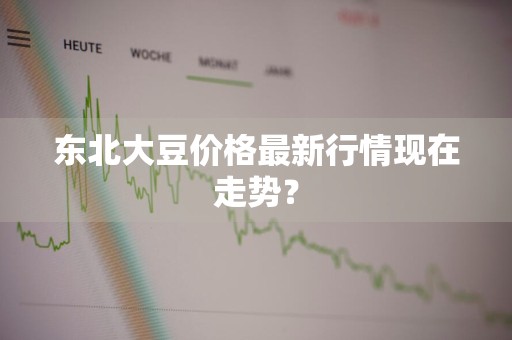 东北大豆价格最新行情现在走势？