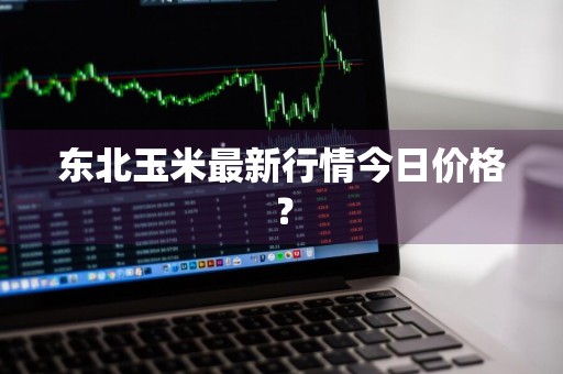 东北玉米最新行情今日价格？