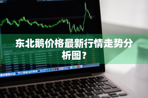 东北鹅价格最新行情走势分析图？
