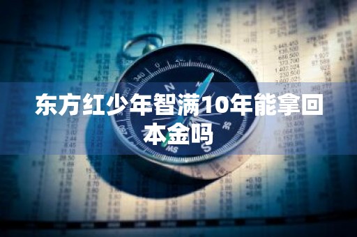 东方红少年智满10年能拿回本金吗