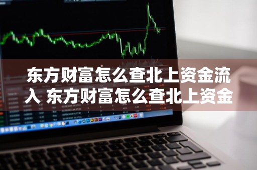 东方财富怎么查北上资金流入 东方财富怎么查北上资金流入的股票