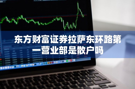 东方财富证券拉萨东环路第一营业部是散户吗