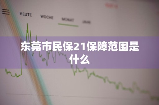东莞市民保21保障范围是什么