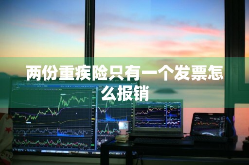 两份重疾险只有一个发票怎么报销