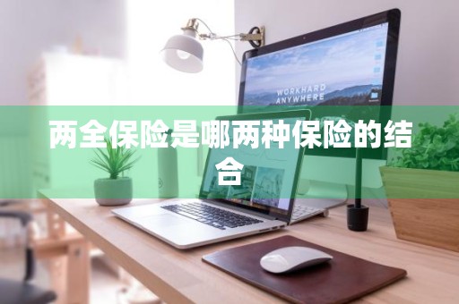 两全保险是哪两种保险的结合