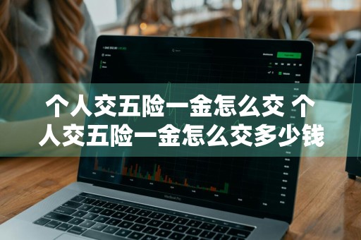 个人交五险一金怎么交 个人交五险一金怎么交多少钱