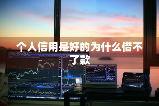 个人信用是好的为什么借不了款