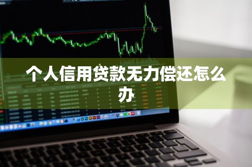 个人信用贷款无力偿还怎么办