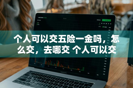 个人可以交五险一金吗，怎么交，去哪交 个人可以交五险一金吗怎么交去哪交