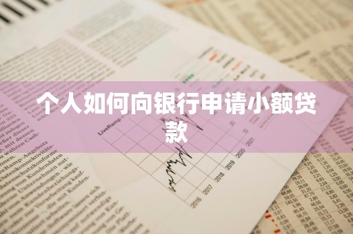 个人如何向银行申请小额贷款