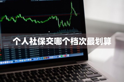 个人社保交哪个档次最划算