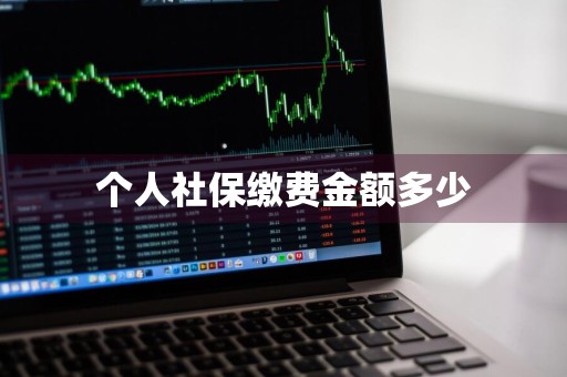 个人社保缴费金额多少