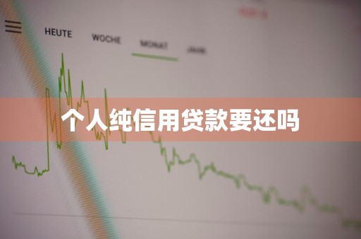 个人纯信用贷款要还吗