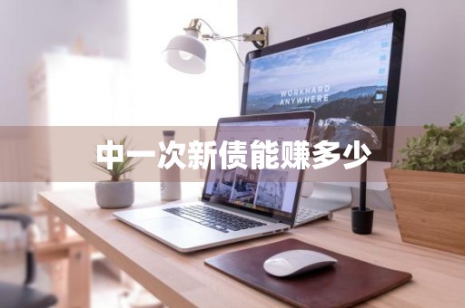 中一次新债能赚多少