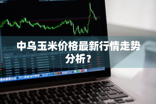 中乌玉米价格最新行情走势分析？