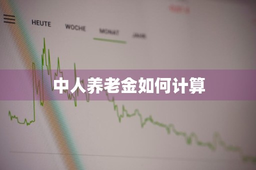 中人养老金如何计算