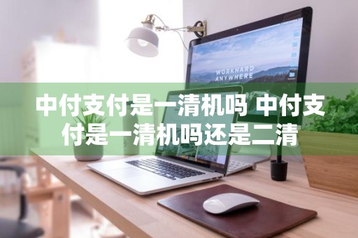 中付支付是一清机吗 中付支付是一清机吗还是二清